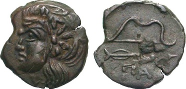 ������: 133-3118