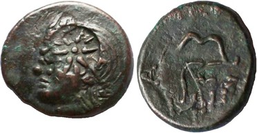 ������: 133-3118