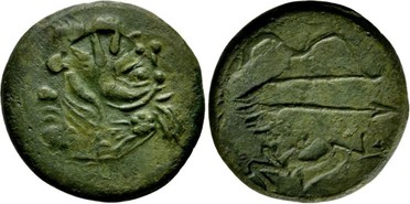 ������: 133-3118