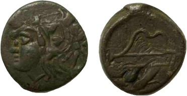 ������: 133-3118