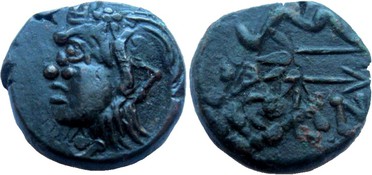 ������: 133-3118