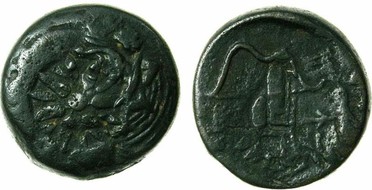 ������: 133-3118