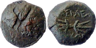 ������: 135-3154