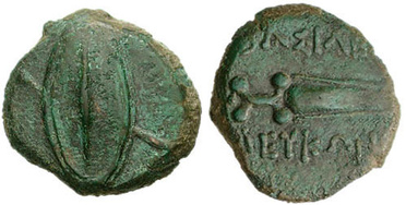 ������: 136-3016