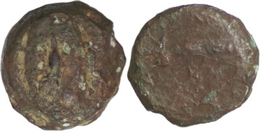 ������: 136-3016