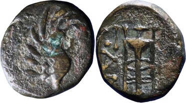 ������: 142-3102