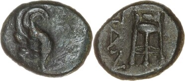 ������: 142-3102