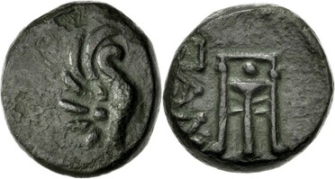 ������: 142-3102