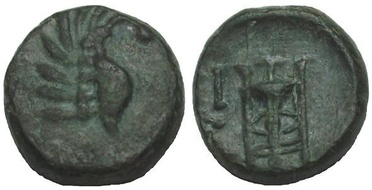 : 142-3102