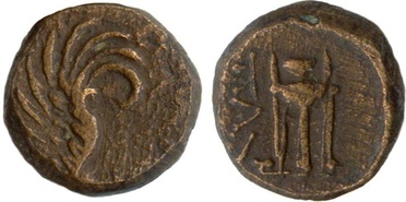 : 142-3102