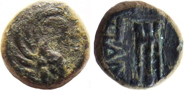 : 142-3102