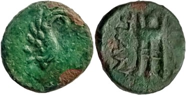 ������: 142-3102