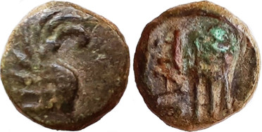 ������: 142-3102