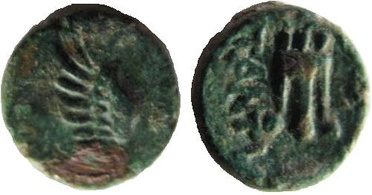 ������: 142-3255