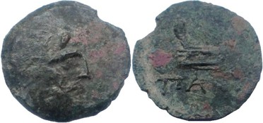 ������: 144-3006