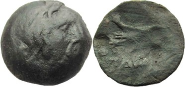 ������: 144-3006