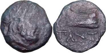 ������: 144-3006