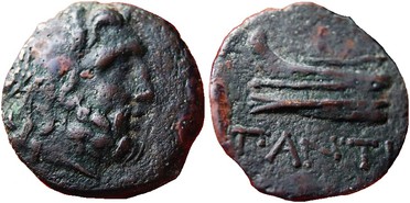 ������: 144-3006