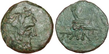 ������: 144-3006