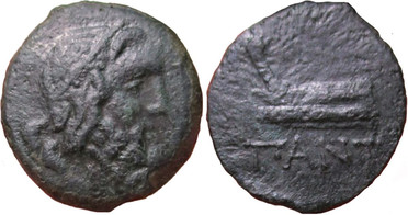 ������: 144-3006