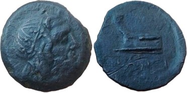 ������: 144-3006