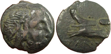 ������: 144-3006