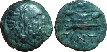 ������: 144-3006