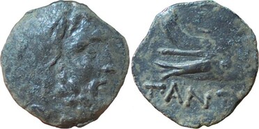 ������: 144-3006