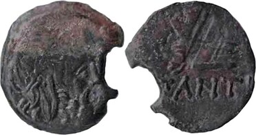 ������: 144-3006