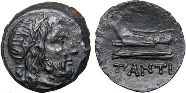 ������: 144-3006