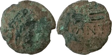 ������: 144-3006