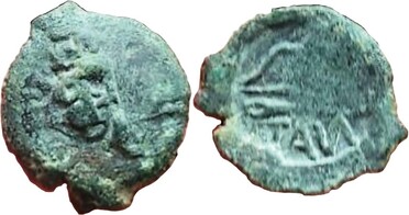 ������: 145-3363