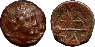 ������: 146-3117