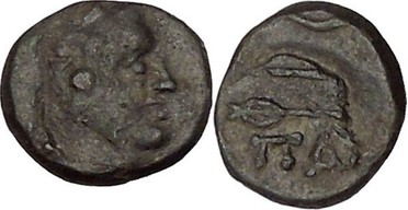 ������: 146-3117