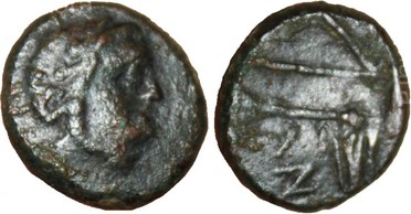 ������: 146-3117