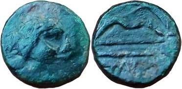 ������: 146-3117