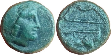 ������: 146-3117