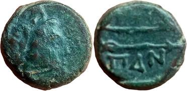 ������: 146-3117