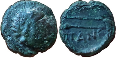 ������: 146-3117