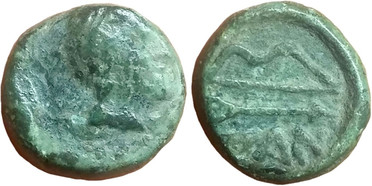 ������: 146-3117