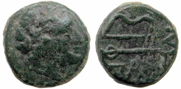 ������: 146-3117