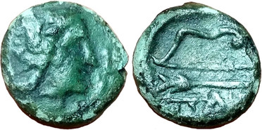 ������: 146-3117