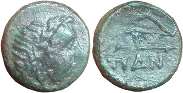 ������: 146-3117