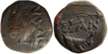 ������: 146-3117