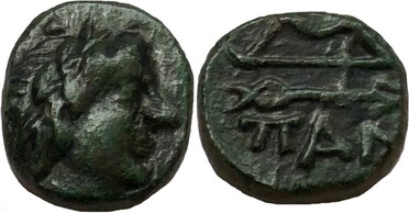 ������: 146-3117