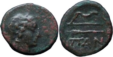 ������: 146-3117