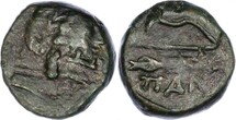 ������: 146-3117