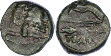 ������: 146-3117