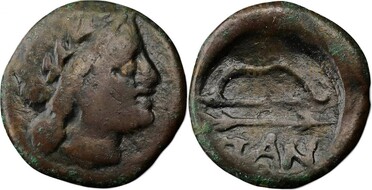 ������: 146-3117