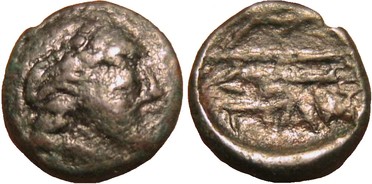 ������: 146-3183